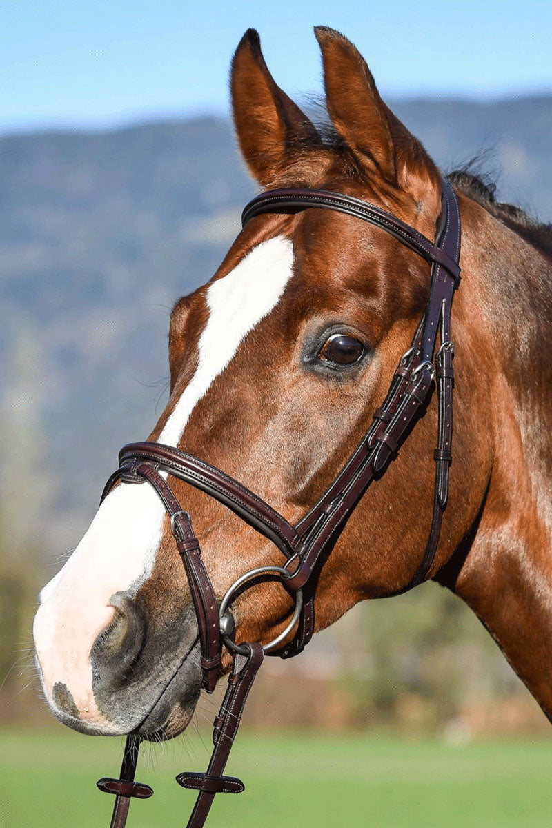 Amerigo Flash Bridle with Reins Brown