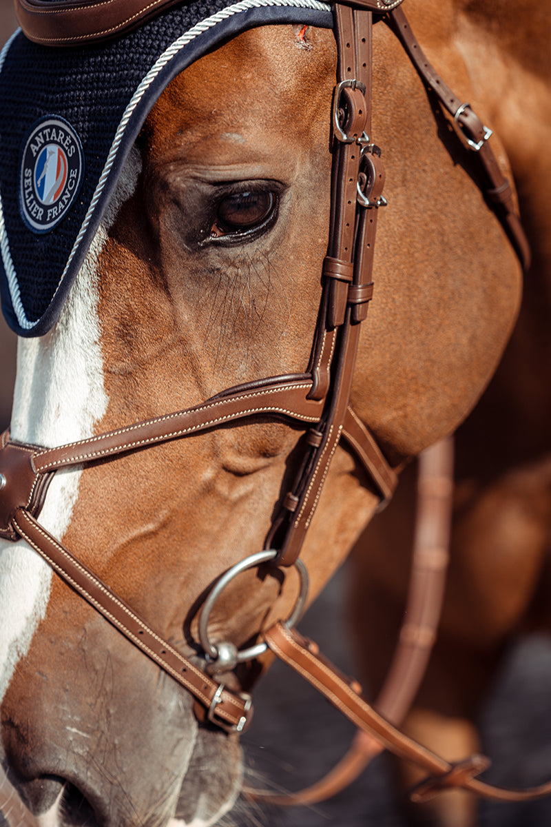 Antares Origin Grackle Bridle Malt