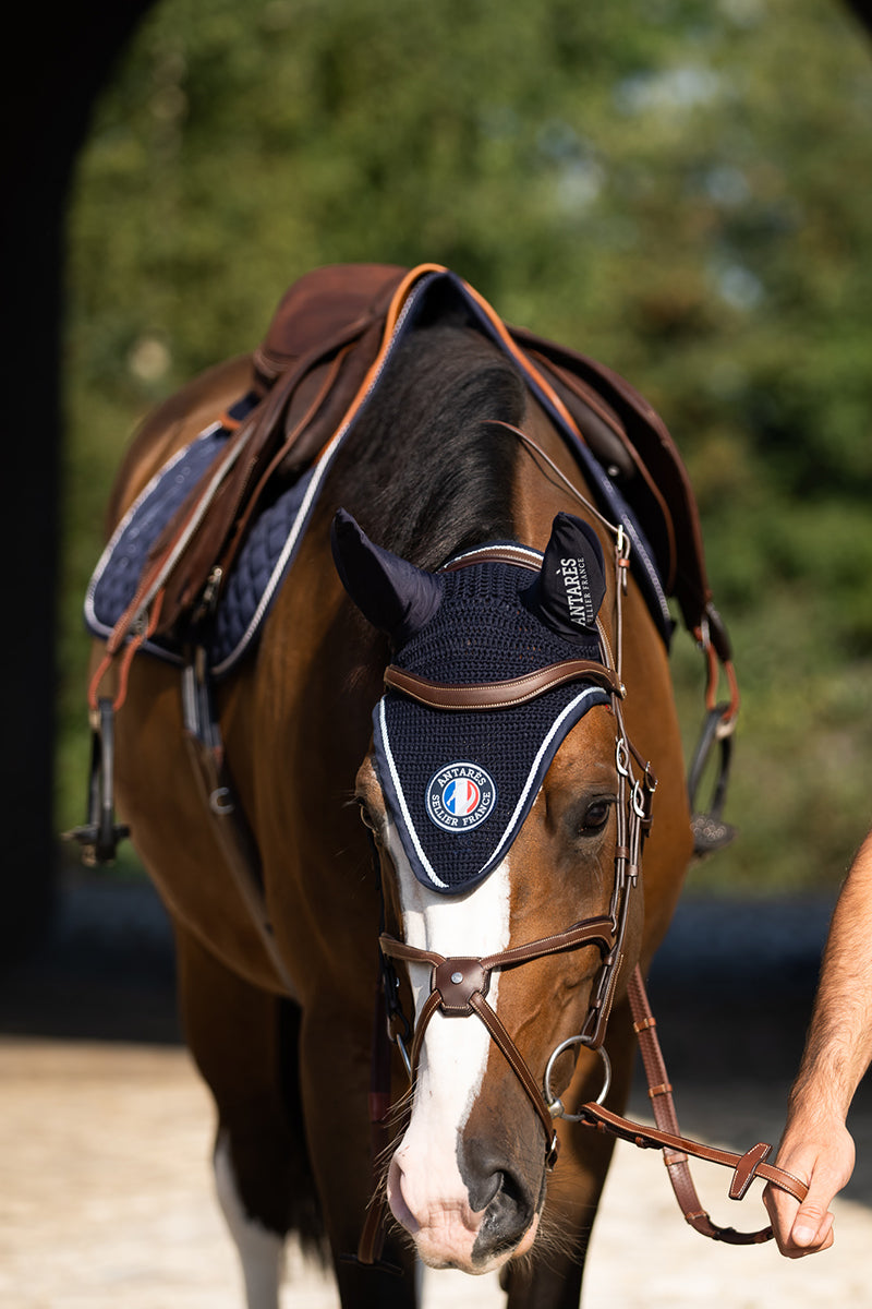 Antares Origin Grackle Bridle Malt