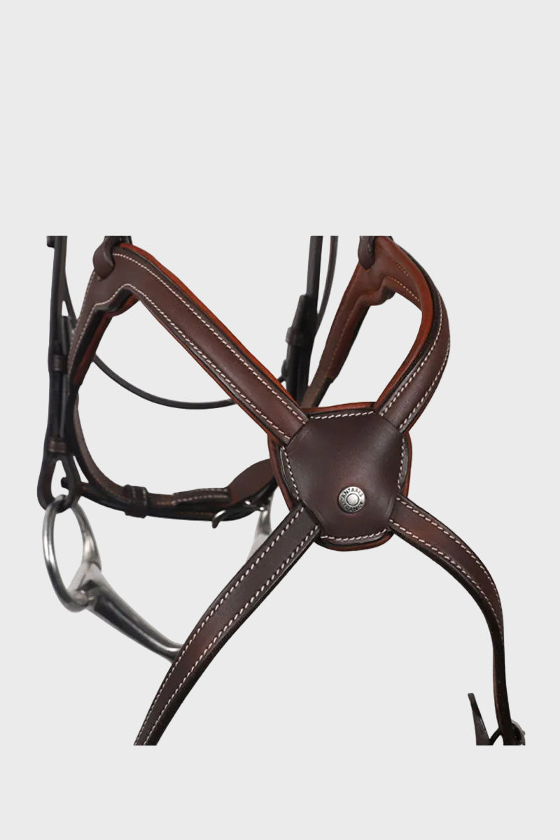 Antares Origin Grackle Bridle