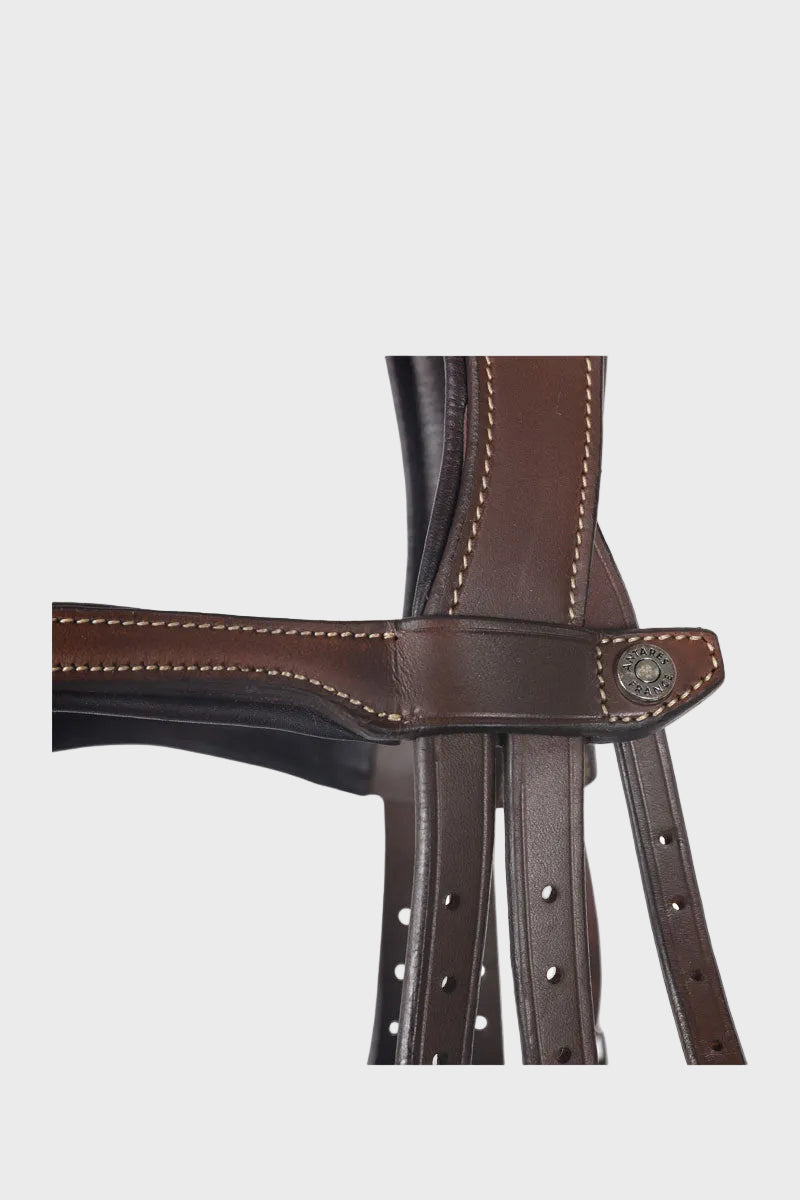 Antares Origin Grackle Bridle