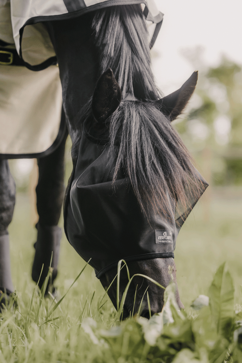 Kentucky Fly Mask Classic Without Ears Black