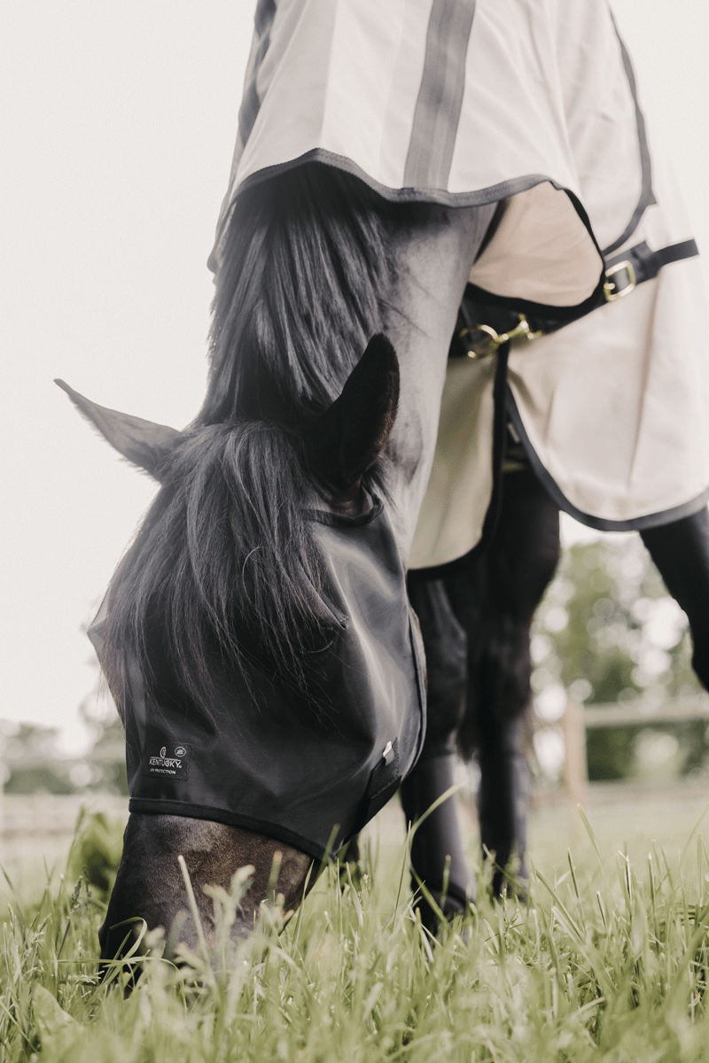 Kentucky Fly Mask Classic Without Ears Black