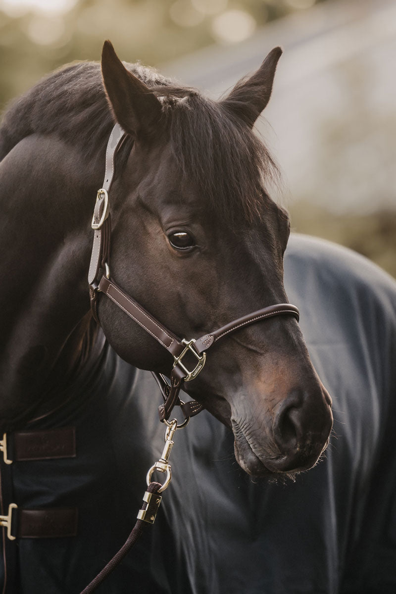 Kentucky Horsewear Anatomic Leather Halter Brown