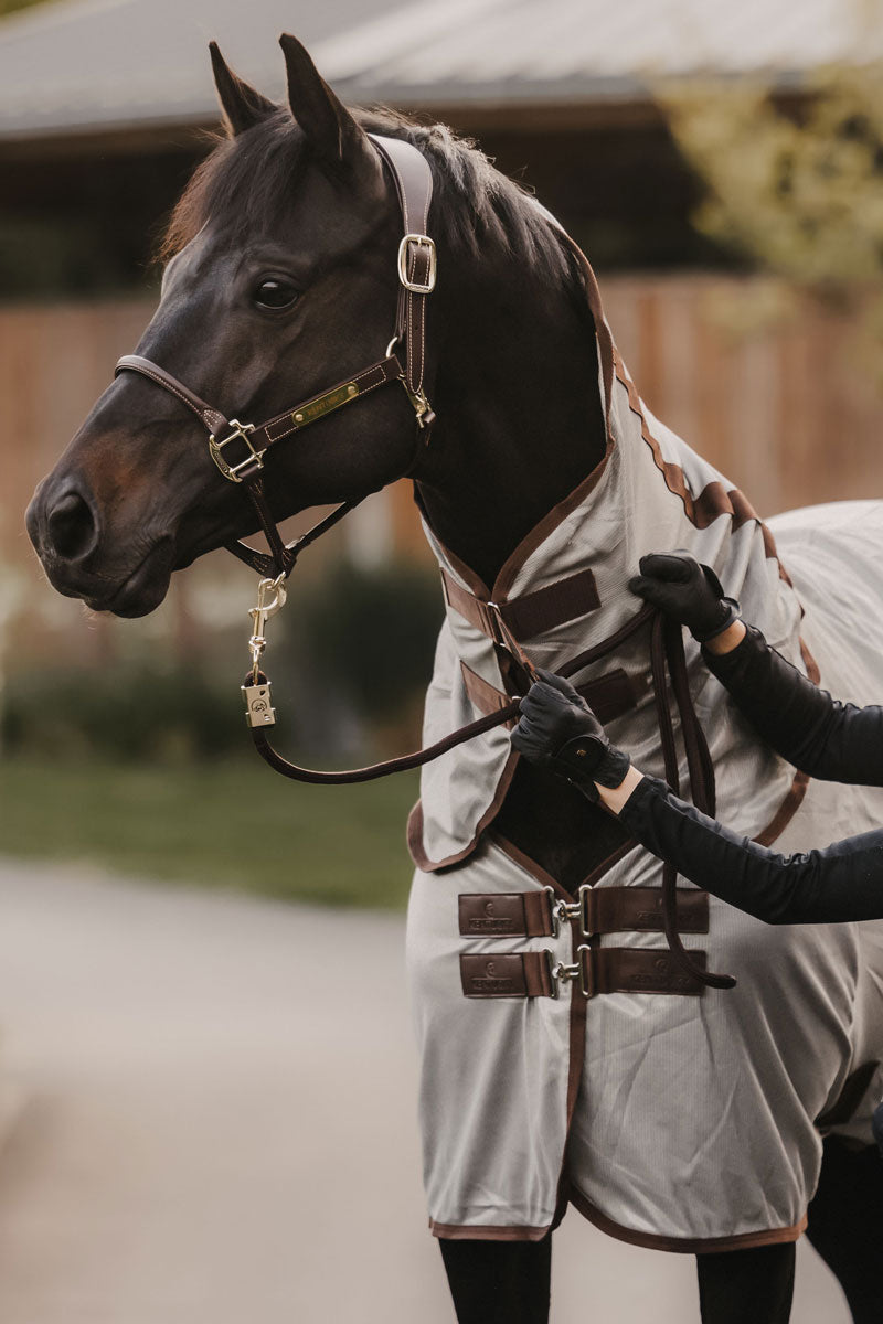 Kentucky Horsewear Basic Lead Rope Brown