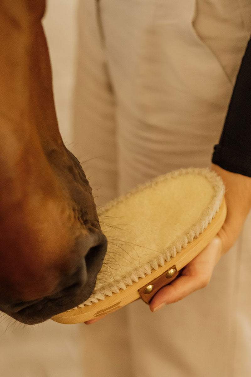 Grooming Deluxe Overall Body Brush Soft Shine