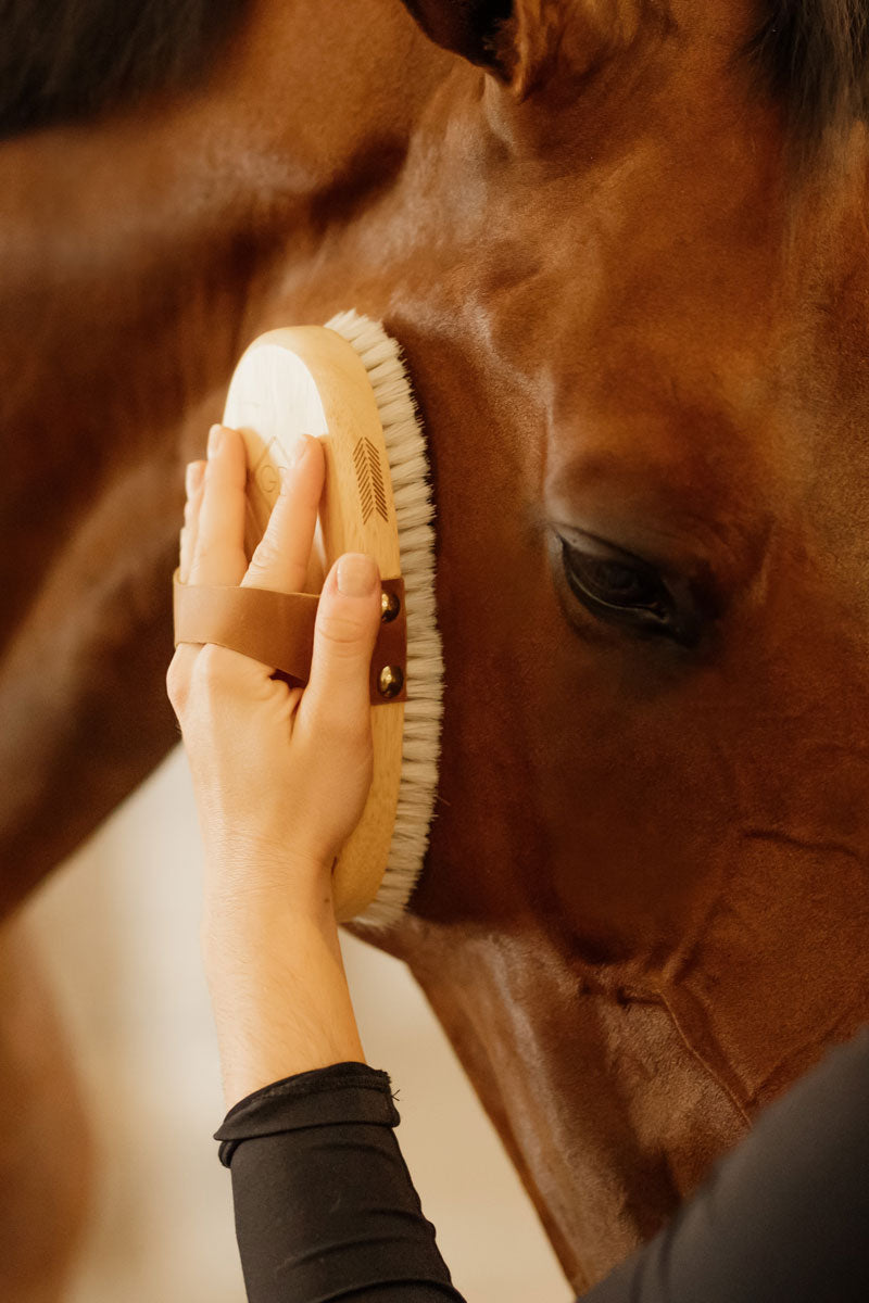 Grooming Deluxe Overall Body Brush Soft Shine