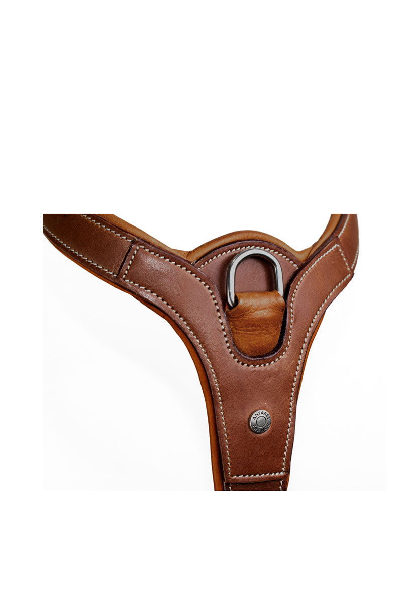 Antares Precision Breastplate for Double Flap Saddle