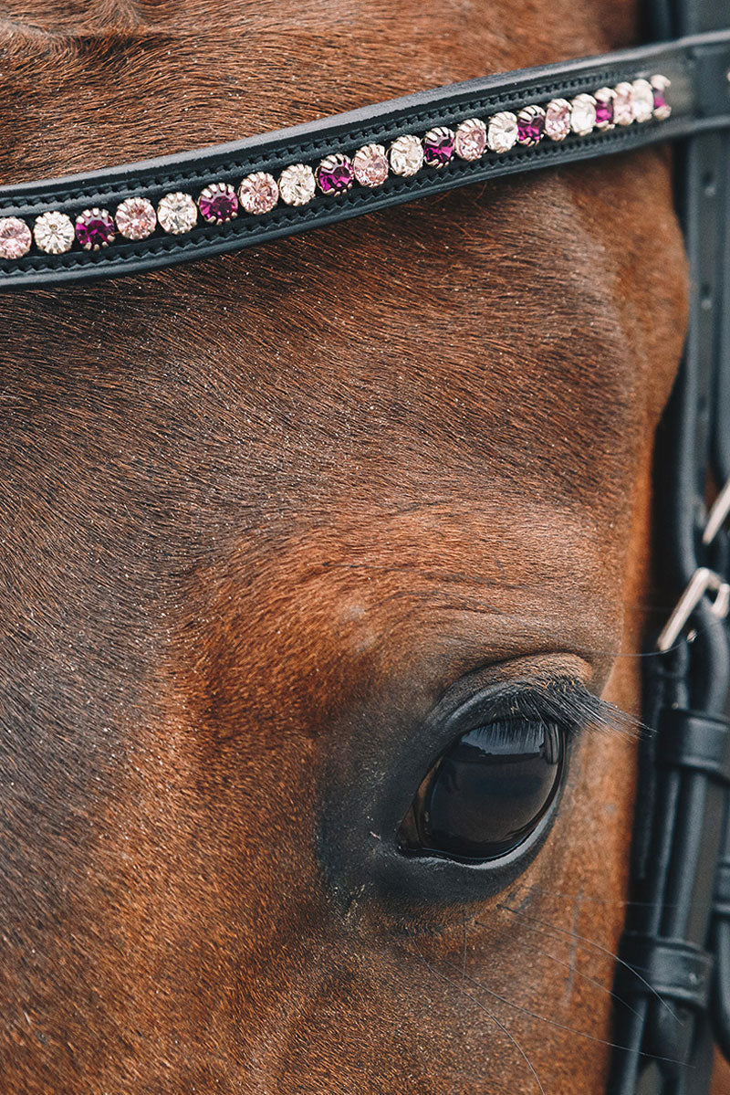 Schockemohle Diamond Select Browband Black/Berry Shades