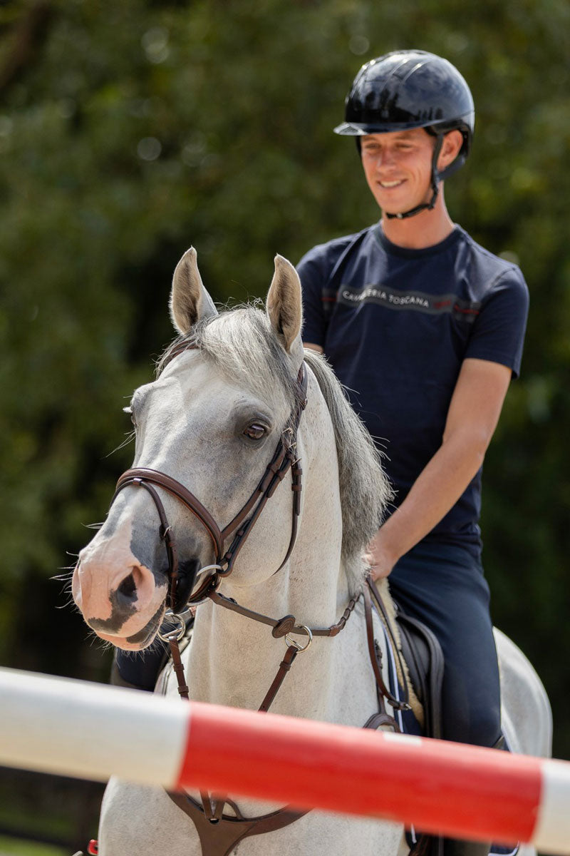 Trust Calgary Bridle Brown/Silver