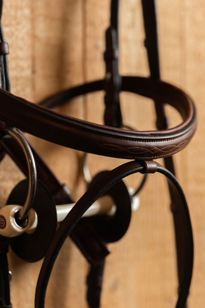 Trust Calgary Bridle Brown/Silver