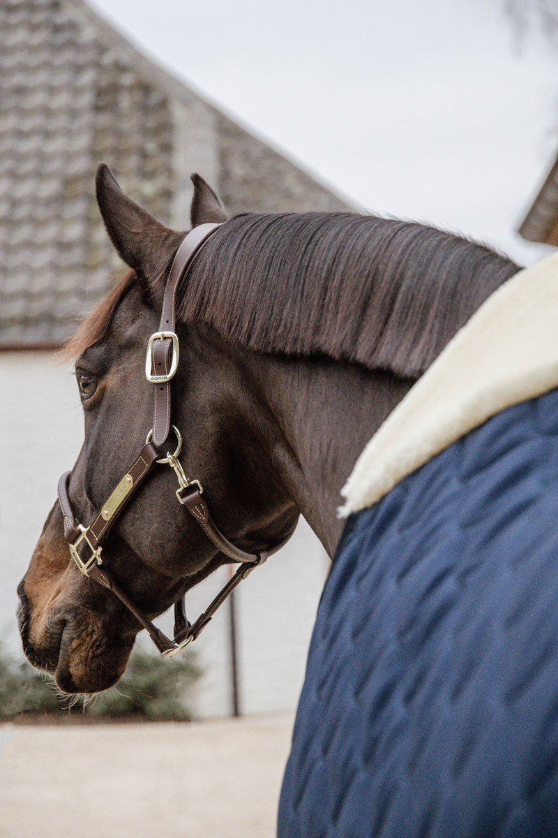 Kentucky Horsewear Stable Rug Comfort 200g Navy
