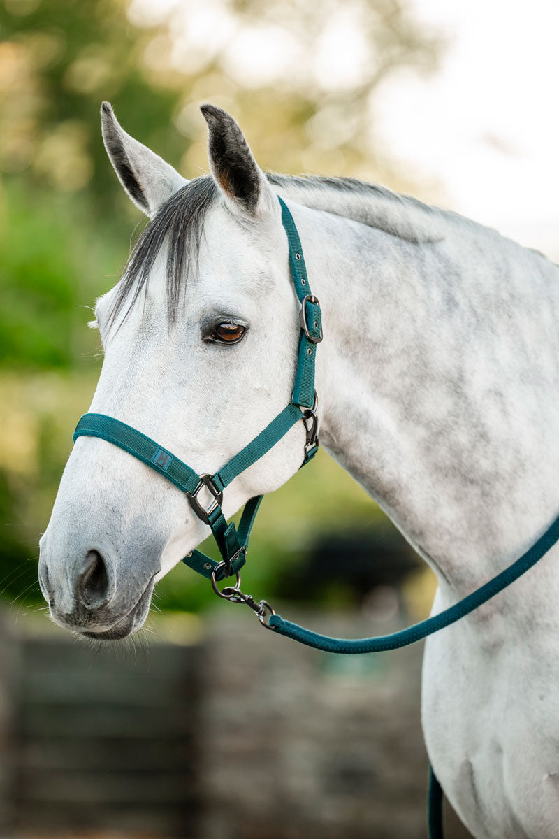 Horseware Headcollar & Leadrope Dynasty Green