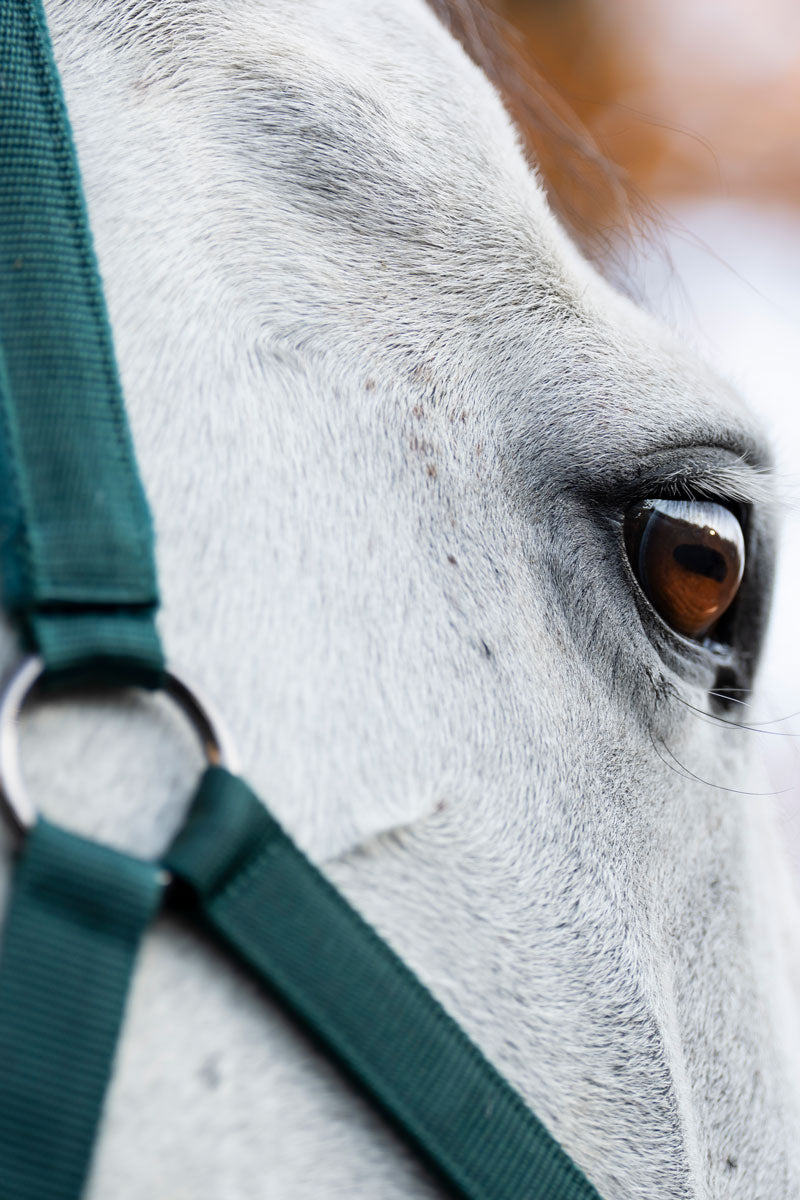 Horseware Headcollar & Leadrope Dynasty Green