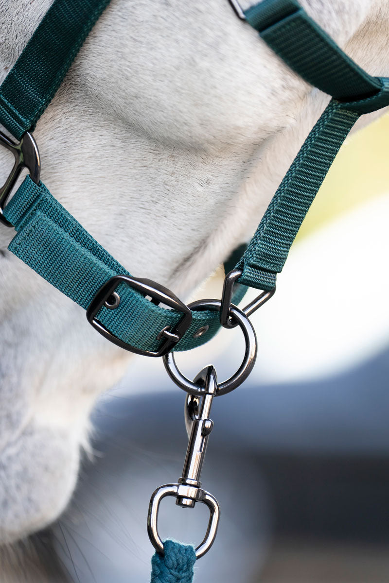 Horseware Headcollar & Leadrope Dynasty Green