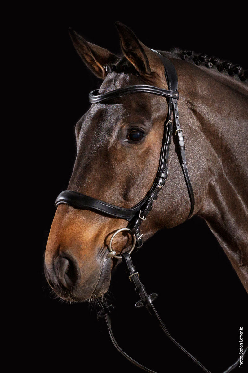 Schockemoehle Equitus Delta Bridle Black/Silver