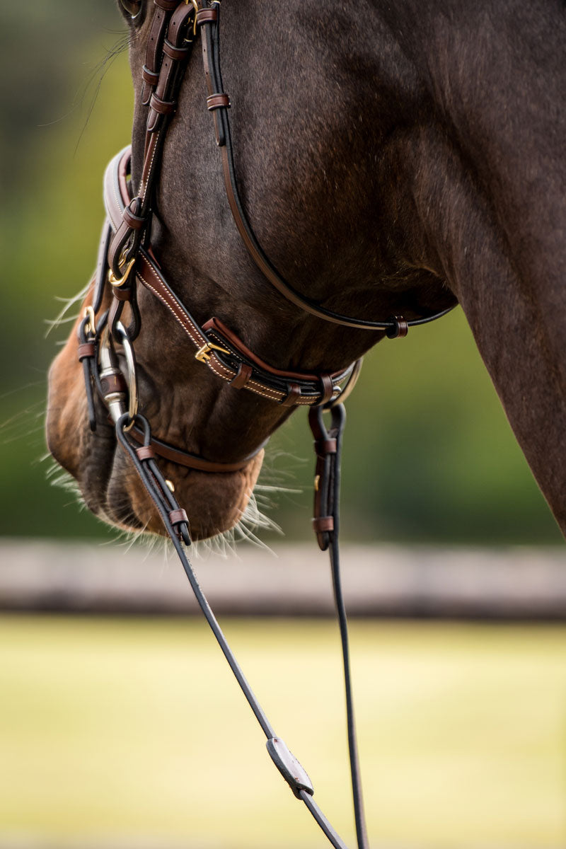 Trust Knokke Bridle Brown/Gold
