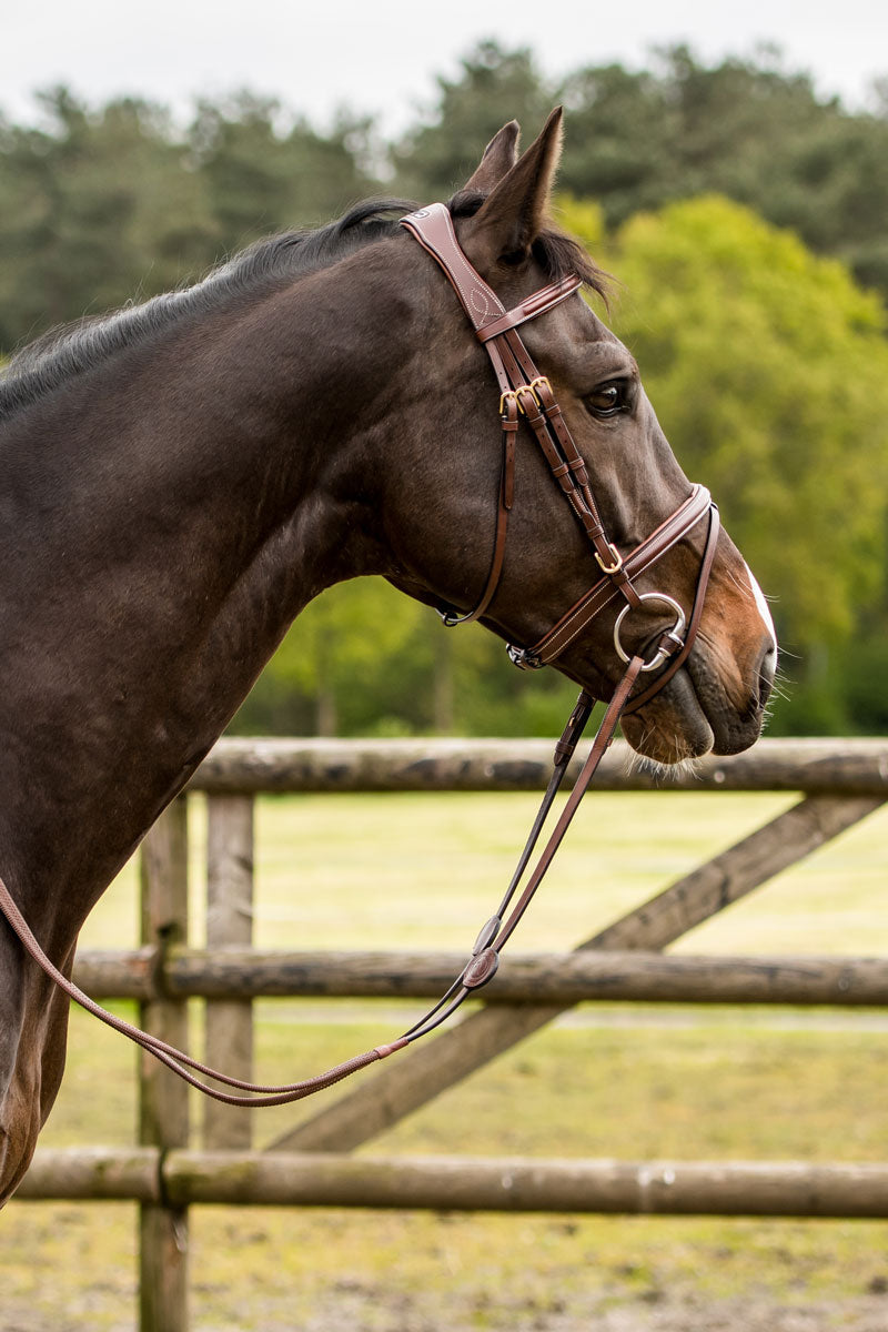Trust Knokke Bridle Brown/Gold