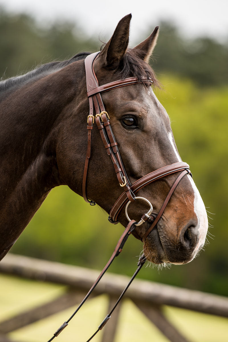 Trust Knokke Bridle Brown/Gold