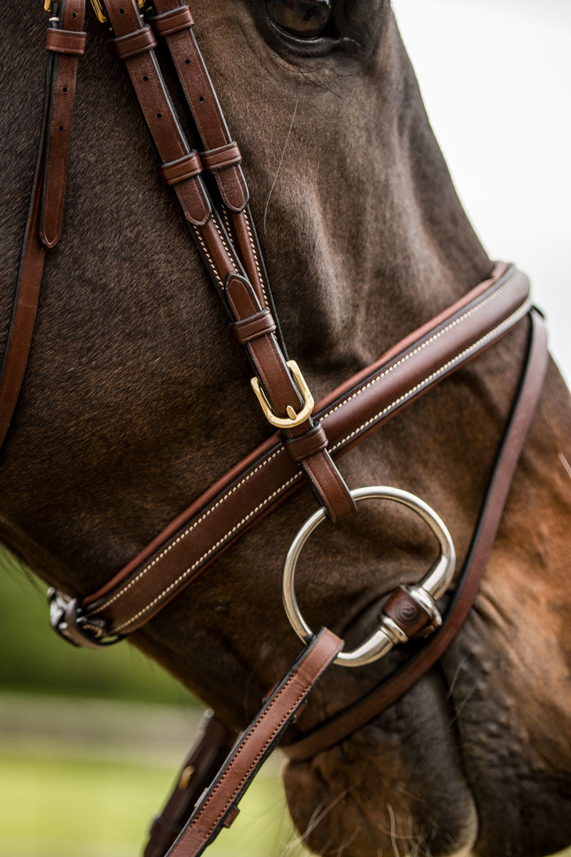 Trust Knokke Bridle Brown/Gold