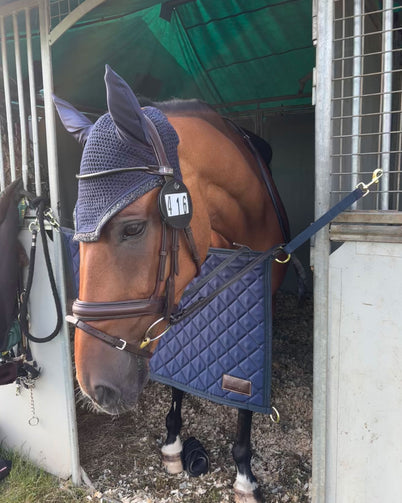 @emilyshaxsoneventing