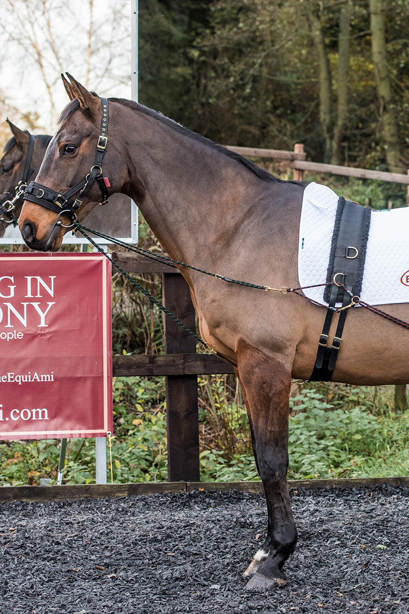 EquiAmi Fleece Lunge Roller Black