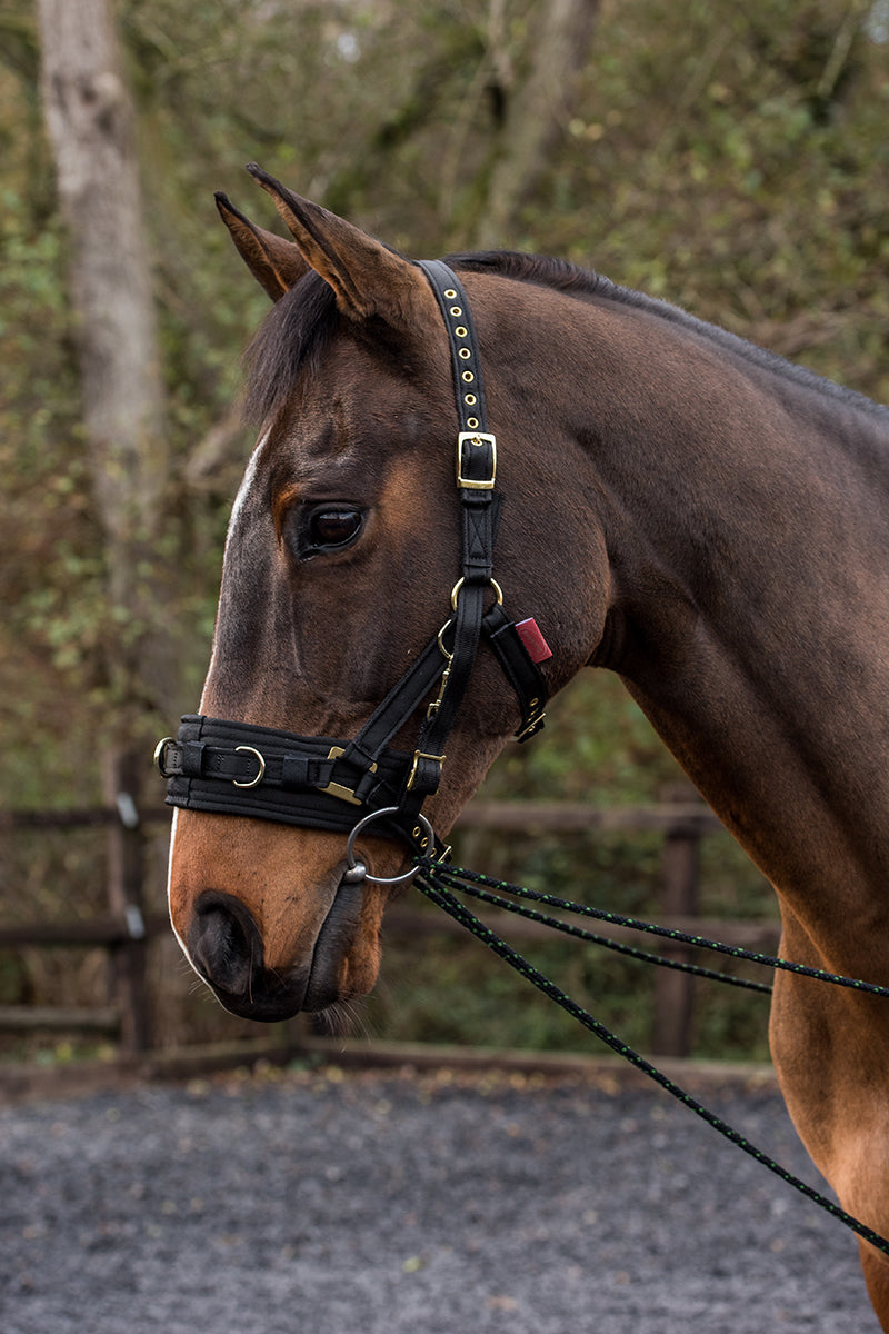 EquiAmi Lunge Cavesson Black