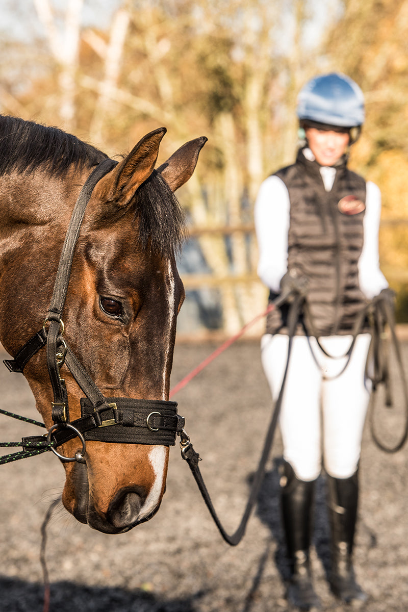 EquiAmi Lunge Cavesson Black