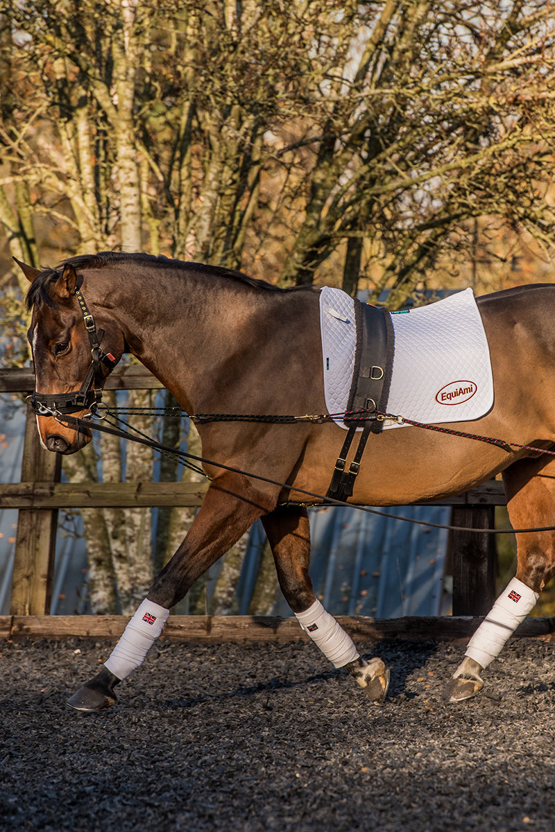 EquiAmi Standard Lunge Aid Black