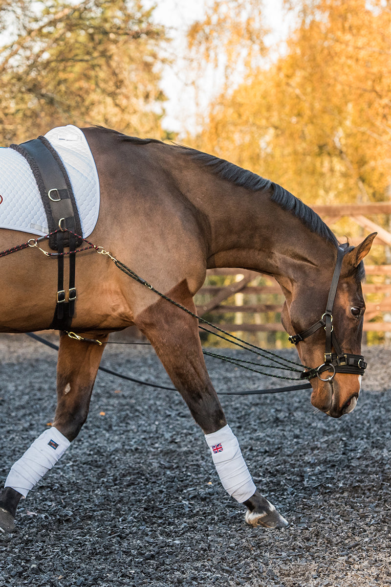 EquiAmi Standard Lunge Aid Black