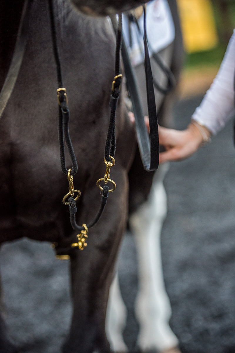 EquiAmi Standard Combi Aid Black