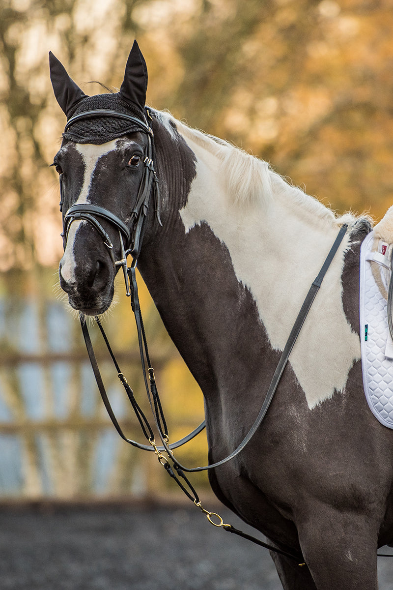 EquiAmi Standard Combi Aid