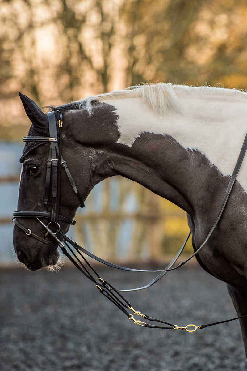 EquiAmi Standard Combi Aid Black