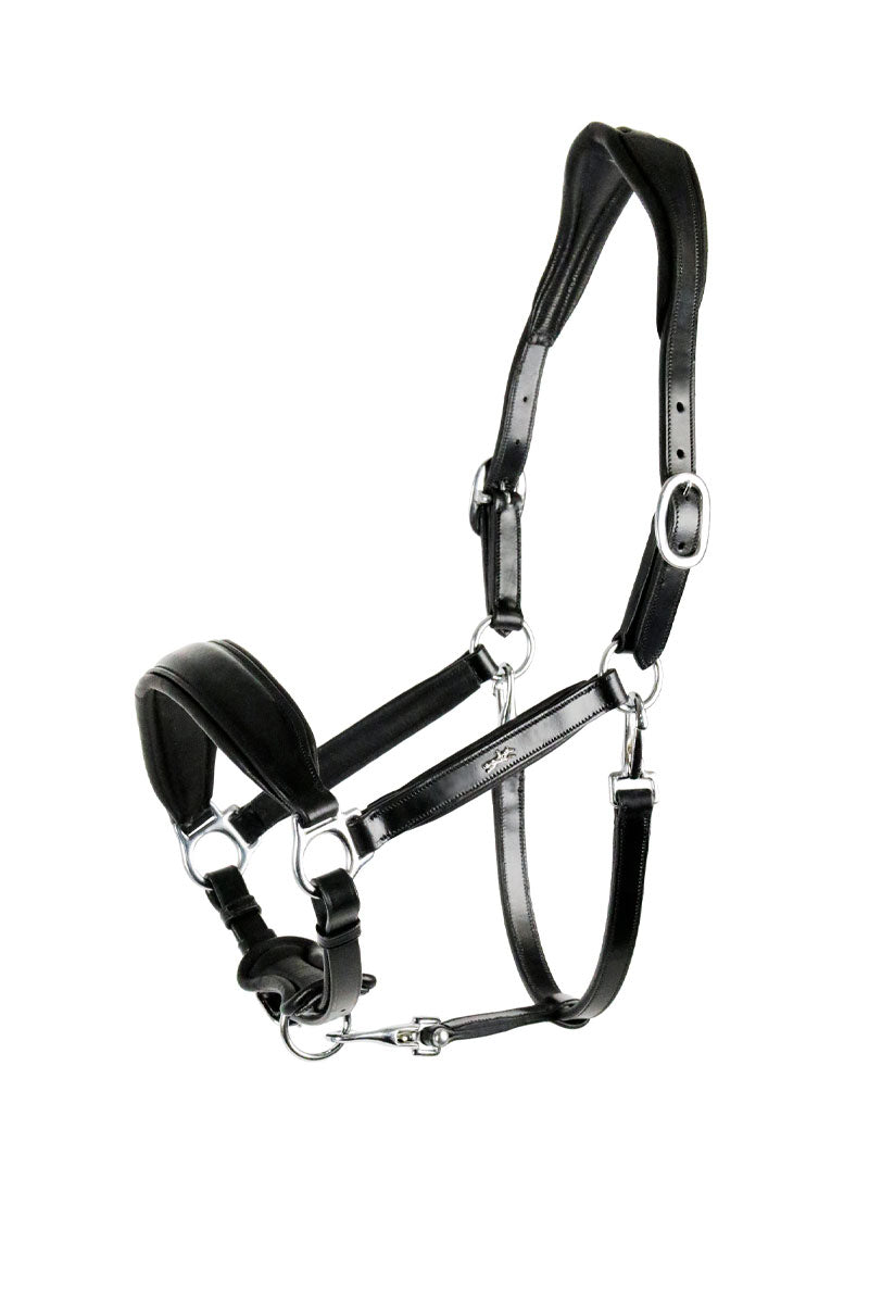 Schockemohle Fremont Headcollar Black/Silver