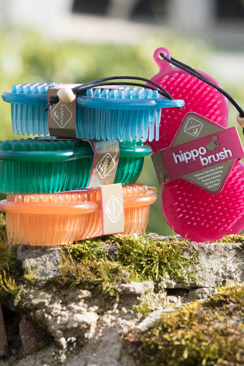 Le Mieux Hippo Brush 