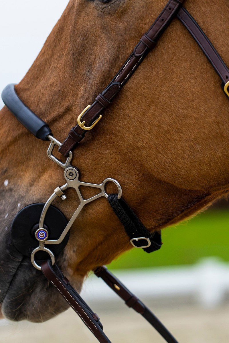 Trust Hickstead Bridle Brown/Silver