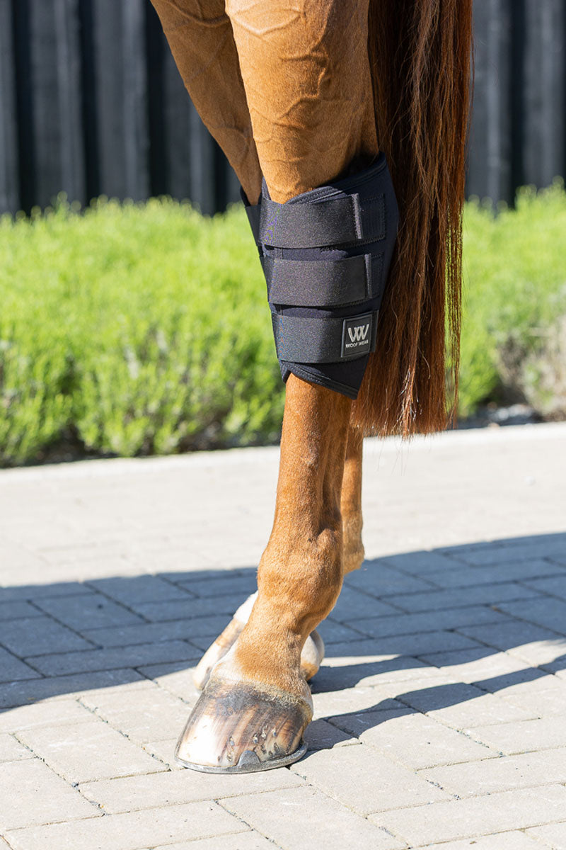 Woof Wear Hock Boot Black