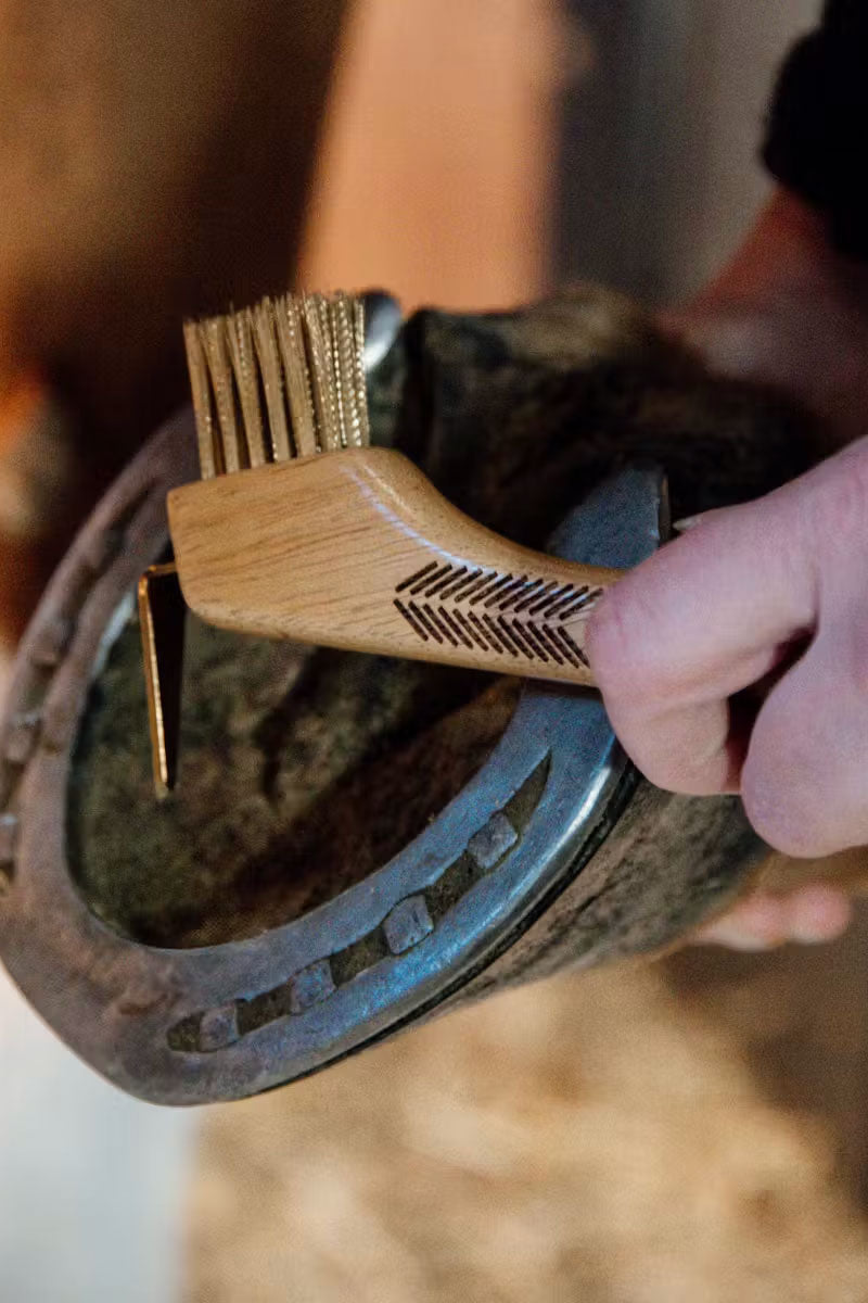 Grooming Deluxe Hoof Pick with Metal Bristles