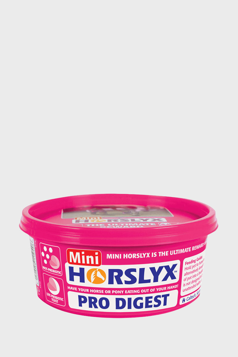 Horslyx Mini Pro Digest 650g