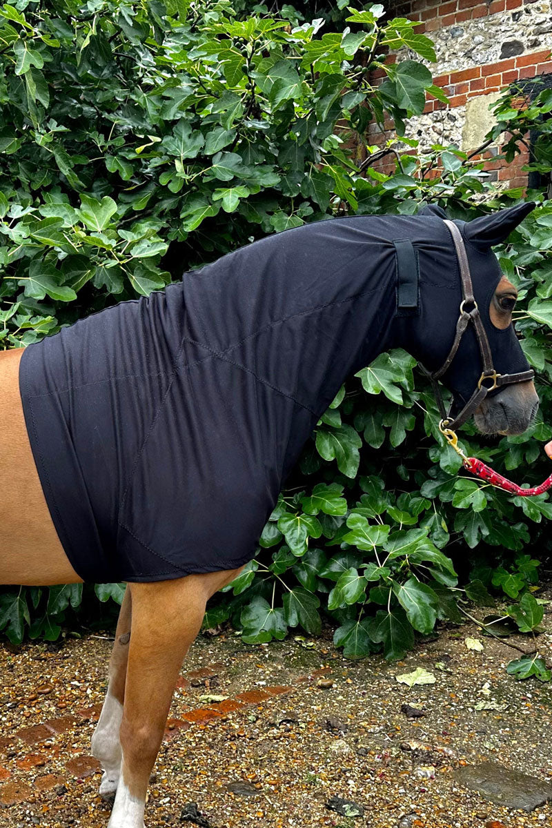 Snuggy Hoods Turnout Hood Zip Navy