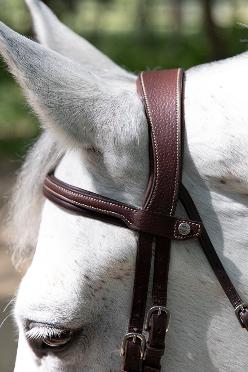 Antares Origin Flash Bridle Malt