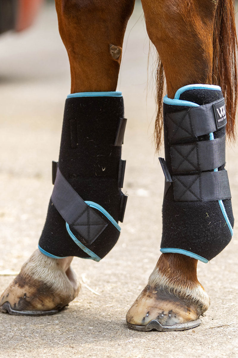Woof Wear Polar Ice Boot Black/Turquoise