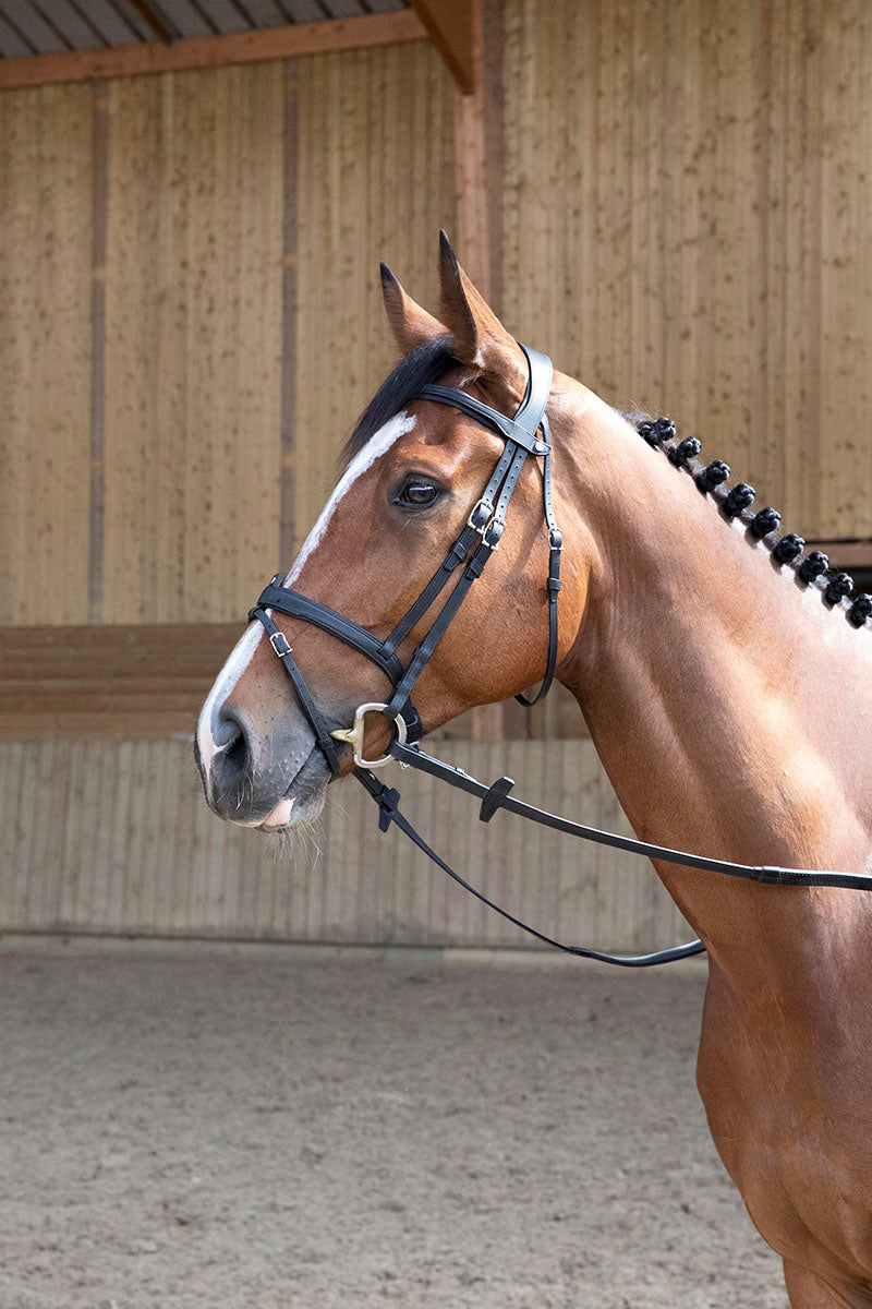 Antares Origin Flash Bridle Black