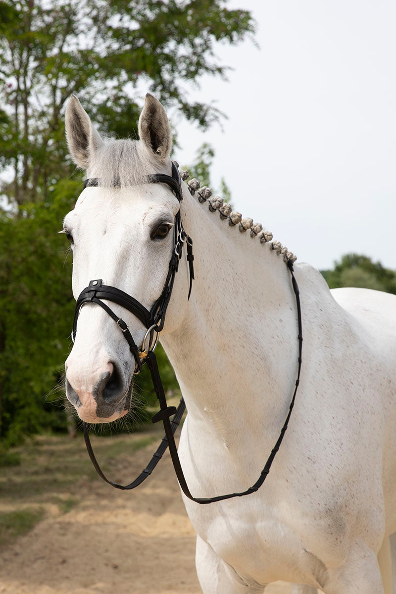 Antares Origin Flash Bridle Black