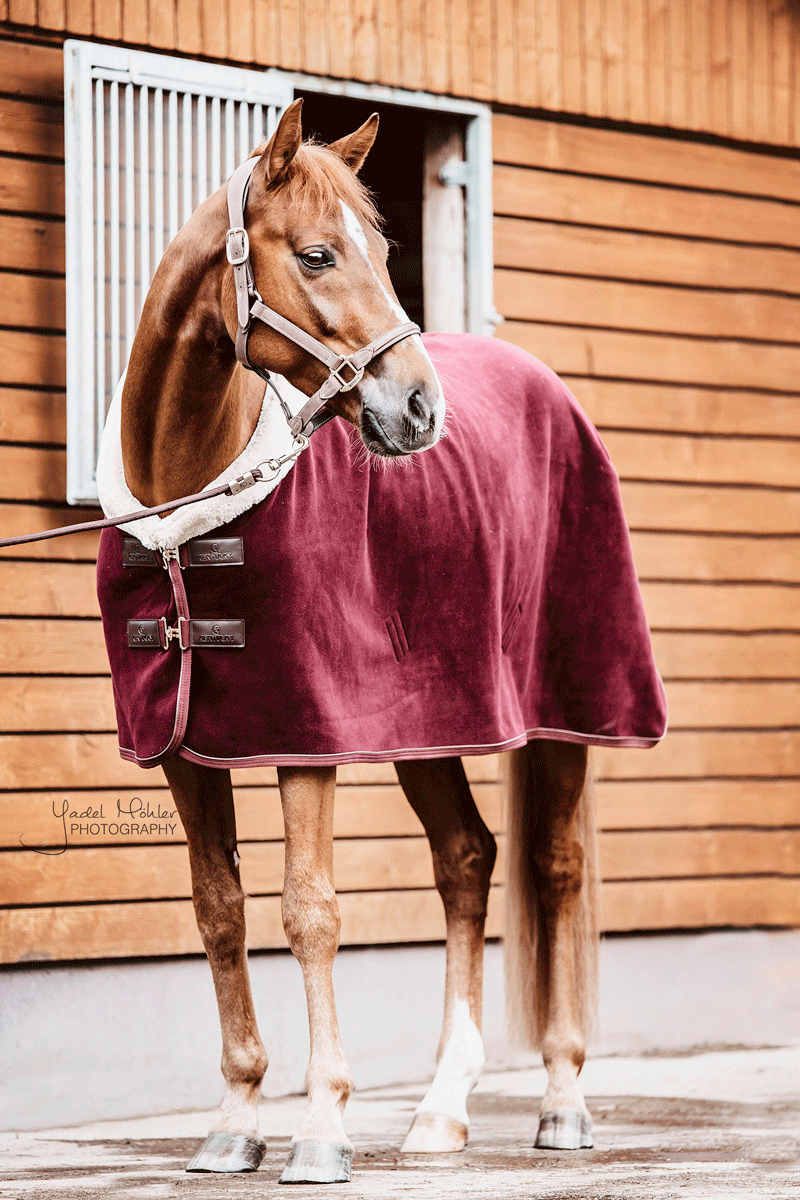 Kentucky Horsewear Fleece Show Rug Heavy Bordeaux