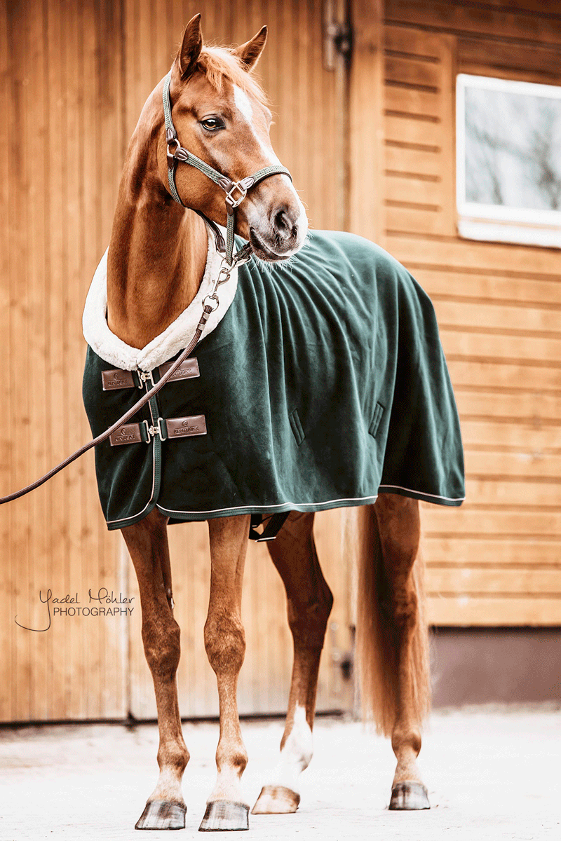 Kentucky Horsewear Fleece Show Rug Heavy Pine Green