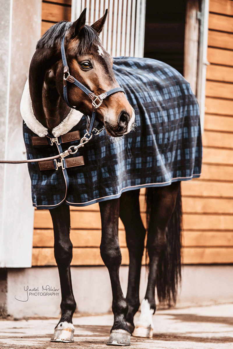 Kentucky Horsewear Fleece Show Rug Heavy Navy Check