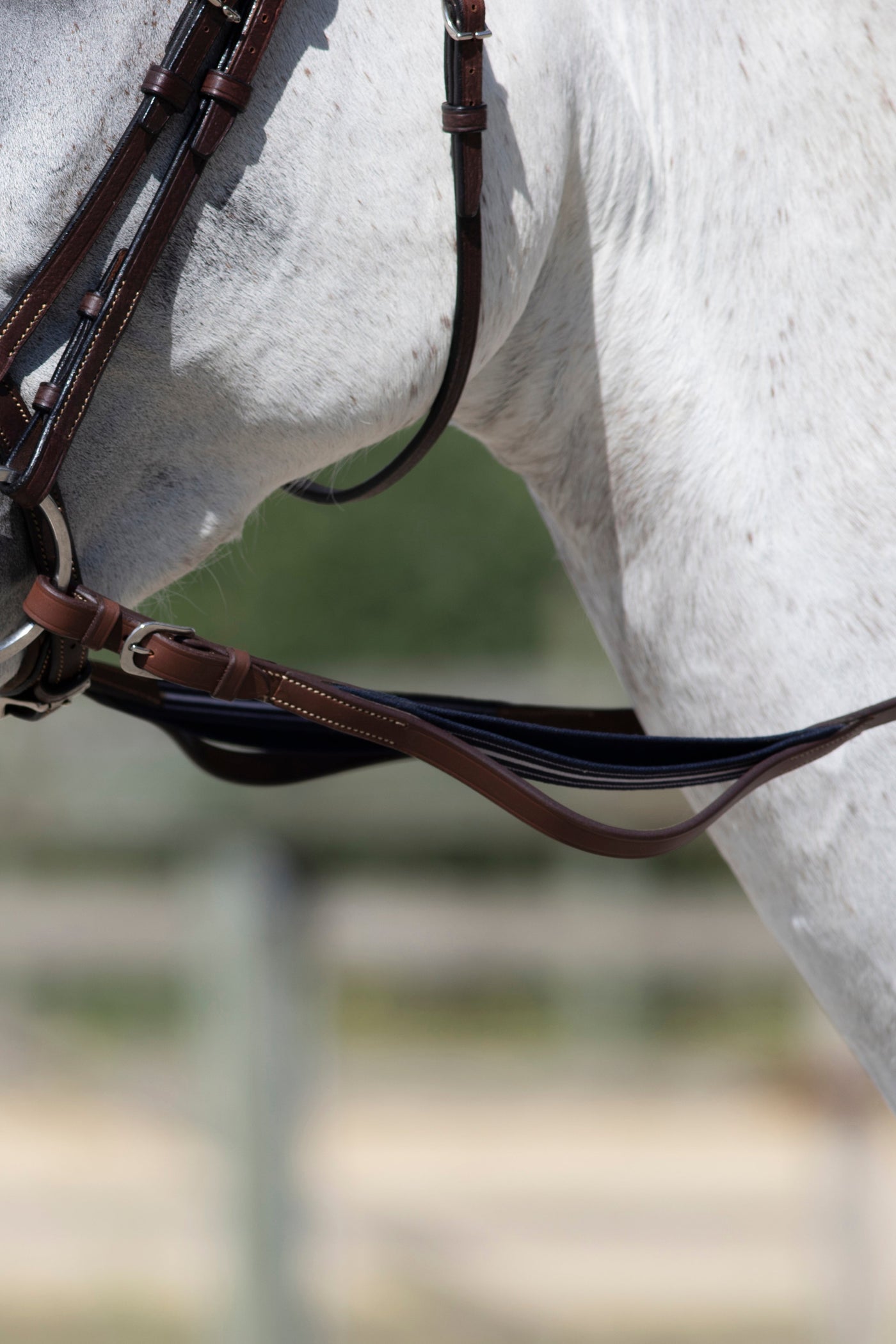 Antares Precision Rubber Reins with Elastic Malt