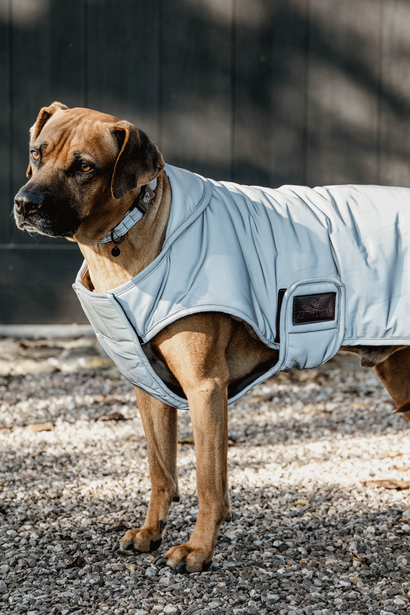 Kentucky Horsewear Dog Coat Reflective & Water Repellent Belly Cover 150g