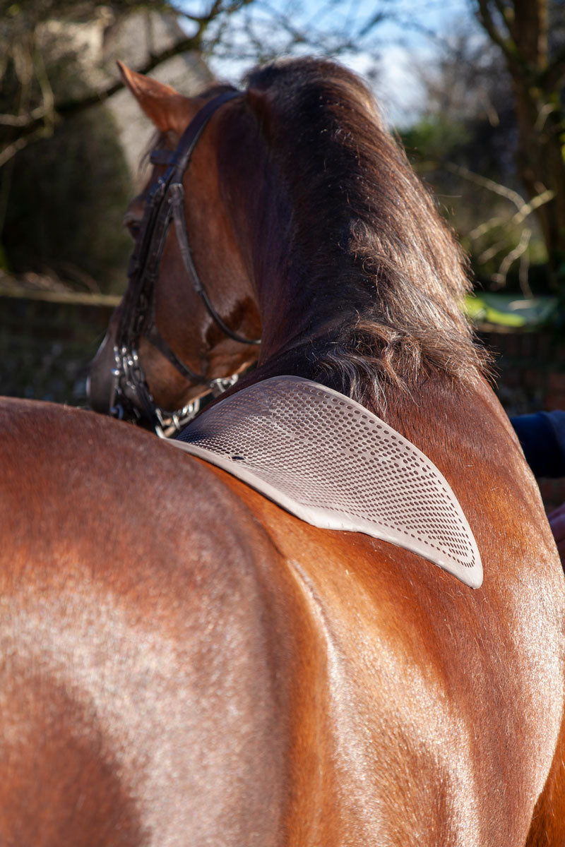 Acavallo Shaped Gel Pad Brown